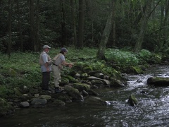 Doe River 28Jun09  36 
